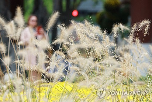 [날씨] 아침 10도 안팎 쌀쌀…퇴근길은 우산 챙기세요