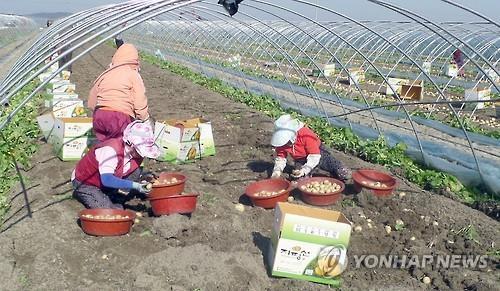 김제시 농특산물 온라인 쇼핑몰 새 단장…지역상품권으로도 결제