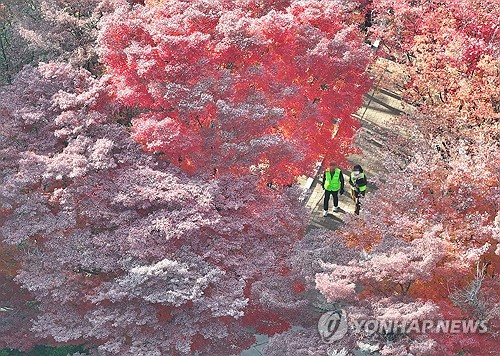 대구·경북 대체로 맑음…낮 기온 9∼13도