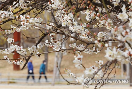 [내주날씨] 화·목·금요일 전국에 비…평년보다 기온 높아