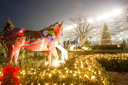 한국마사회, 25일 성탄절 이벤트 경마 개최