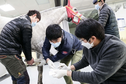 말 복지 확대하는 한국마사회, 동물보호와 생명존중 가치 구현