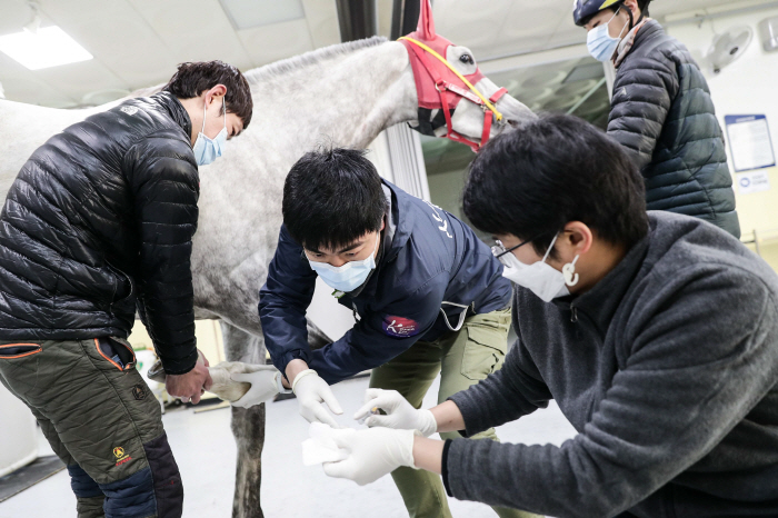 [경마]말 복지 확대하는 한국마사회, 동물보호와 생명존중 가치 구현