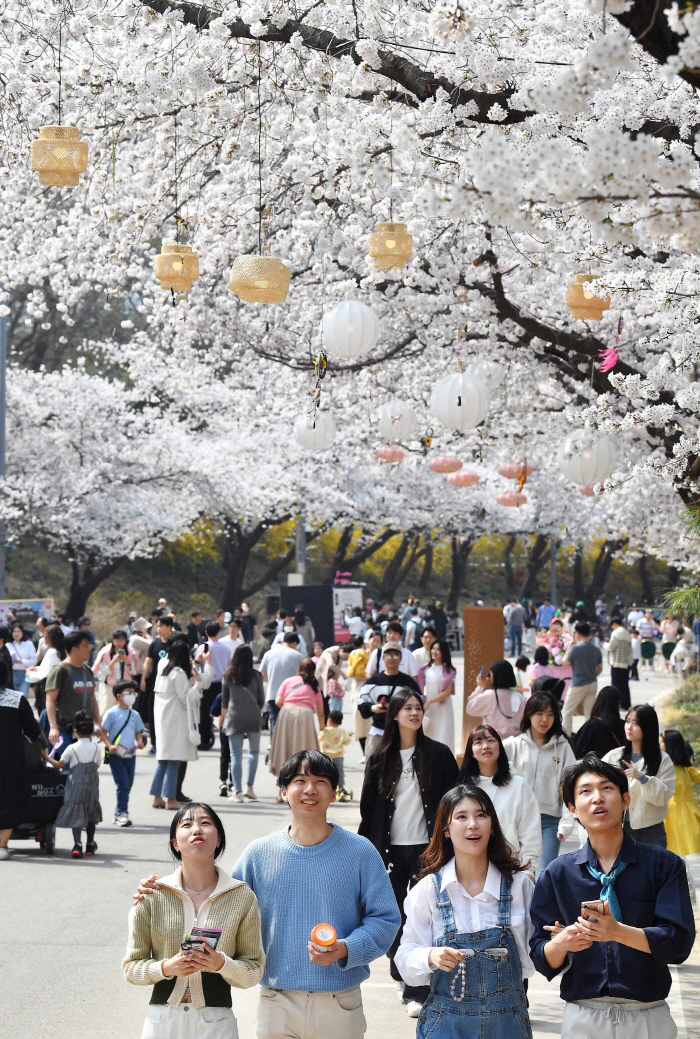 <경마> 만개한 벚꽃 사이로 말이 달려오는 그곳, 렛츠런파크 서울 가볼까