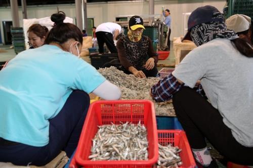 어촌 인력난 해소…태안군 올해 외국인 계절근로자 160명 초청
