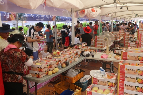오감만족 ‘제15회 향수옥천 포도복숭아축제’오는 8월 개막