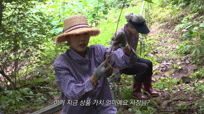 한혜진 母女, 홍천 산에서 '최상급 산삼' 캤다.."부르는 게 값"(한혜진)[종합]